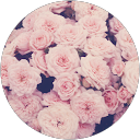 Thahseen profile picture